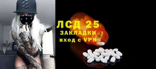 ПСИЛОЦИБИНОВЫЕ ГРИБЫ Касимов