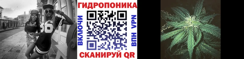 Бошки марихуана конопля  Купить  Губаха 